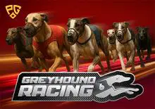 Greyhound Racing - Spin City - Congo